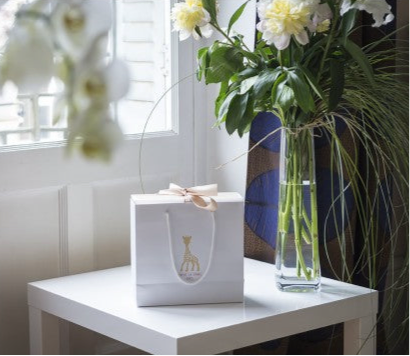 Pack duo - Sophie la girafe & Anneau de dentition So’Pure