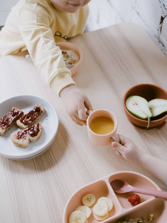 Bol à ventouse - Terracotta