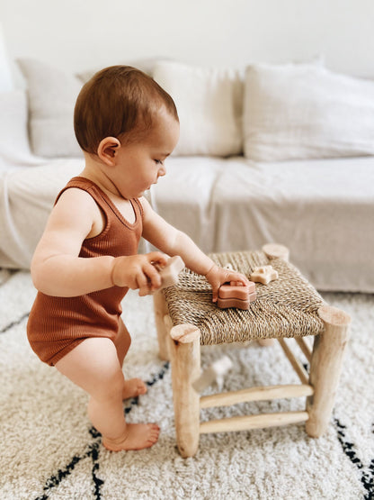 Étoiles à empiler (Star Stacker)