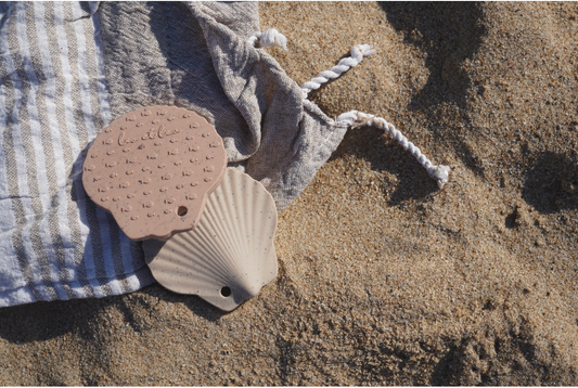 Anneau de dentition Coquillage - Terre