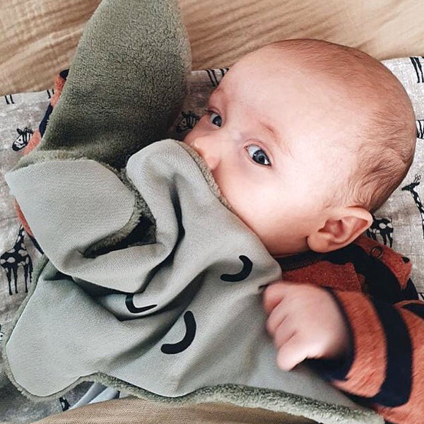 Doudou compagnon – Ally the Gator